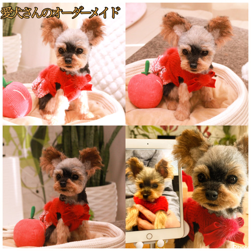 愛犬さんのオーダー》羊毛フェルトオーダー 羊毛フェルト犬
