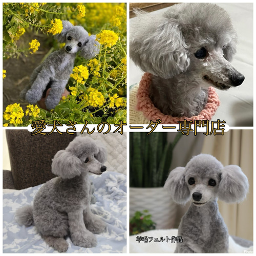 愛犬さんのオーダー》羊毛フェルトオーダー 羊毛フェルト犬 愛犬さんのオーダー》羊毛フェルトオーダー 羊毛フェルト犬