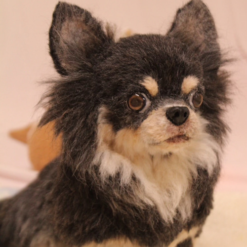 チワワ☆うちの子オーダー受付ページ 羊毛フェルトオーダー 犬