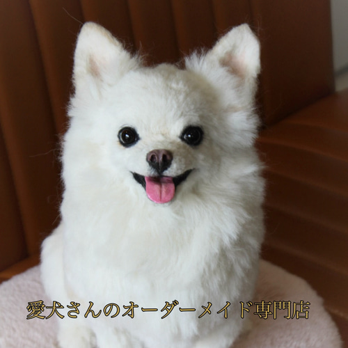愛犬さんの羊毛フェルトオーダー・Ryzen様ご確認専用ページ 愛犬さんのオーダー》羊毛フェルトオーダー 羊毛フェルト犬 オーダー
