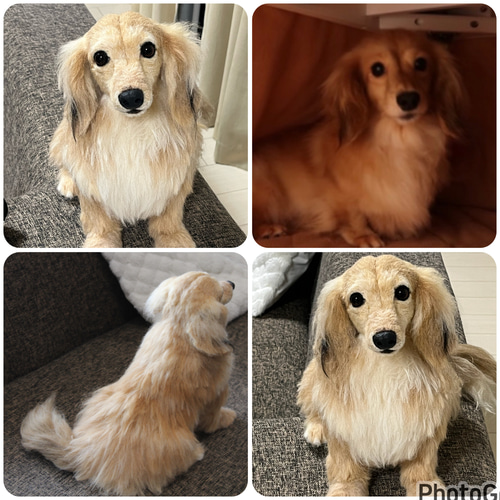 愛犬さんのオーダー》羊毛フェルトオーダー 羊毛フェルト犬 愛犬さんのオーダー》羊毛フェルトオーダー 羊毛フェルト犬