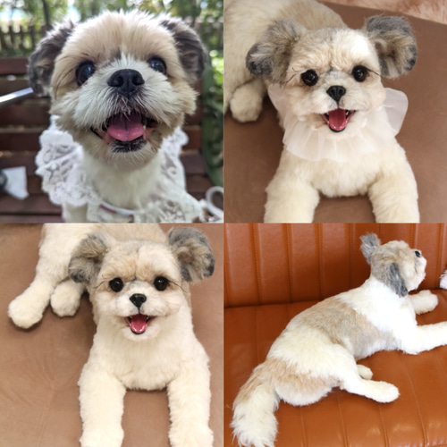 愛犬さんのオーダー》羊毛フェルト オーダー 犬 羊毛フェルト チワワ