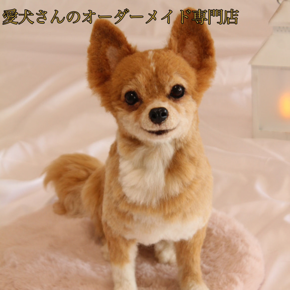 《愛犬さんのオーダー》羊毛フェルトオーダー　羊毛フェルト　チワワ　ダックス　ポメラニアン　ダックス　羊毛フェルト犬 9枚目の画像