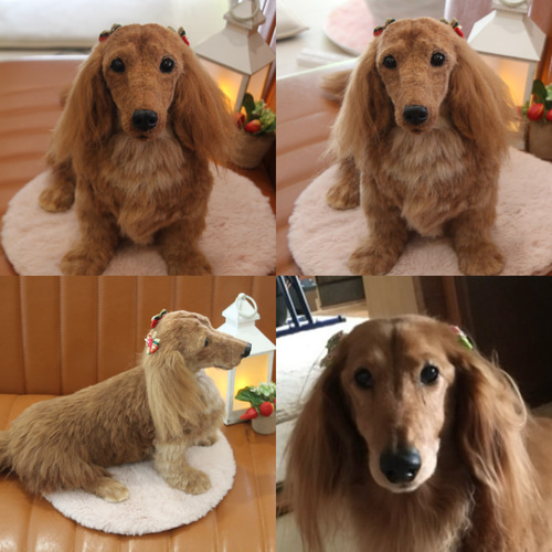 愛犬さんのオーダー》羊毛フェルト オーダー 犬 羊毛フェルト チワワ