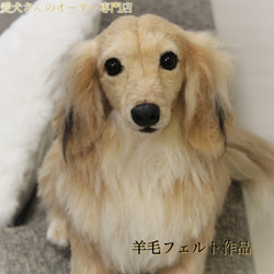 《愛犬さんのオーダー》羊毛フェルトオーダー　羊毛フェルト　チワワ　ダックス　ポメラニアン　ダックス　羊毛フェルト犬 1枚目の画像
