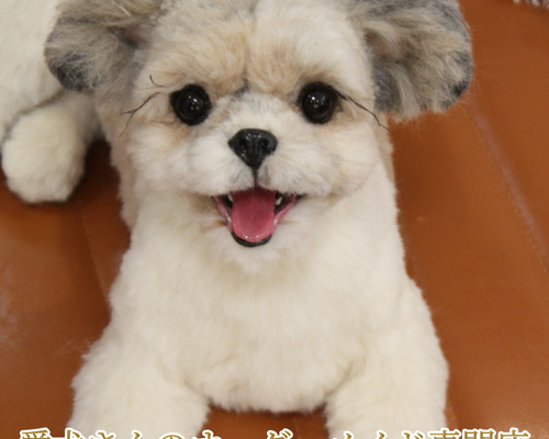 愛犬さんのオーダー》羊毛フェルト オーダー 犬 羊毛フェルト チワワ