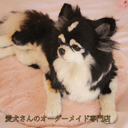 《愛犬さんのオーダー》羊毛フェルトオーダー　羊毛フェルト　チワワ　ダックス　ポメラニアン　ダックス　羊毛フェルト犬 7枚目の画像