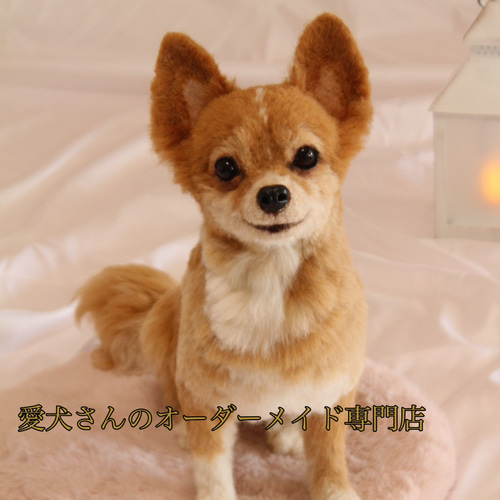 愛犬さんのオーダー》羊毛フェルトオーダー 羊毛フェルト うちの 愛犬さんのオーダー》羊毛フェルトオーダー 羊毛フェルト うちの