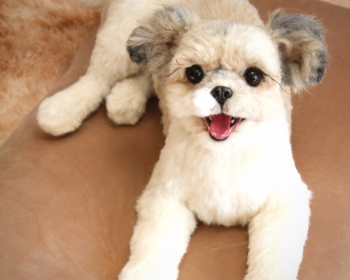 羊毛フェルト【うちのブヒ】オーダーメイド　ask 羊毛フェルト 【うちのブヒ】オーダー