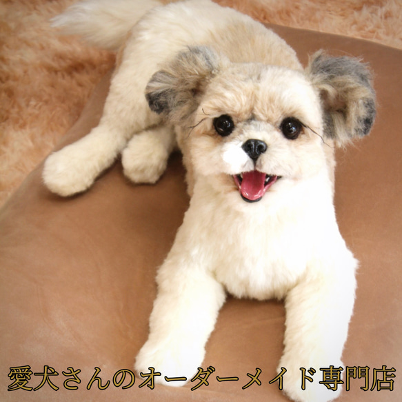 愛犬さんのオーダー》羊毛フェルトオーダー 羊毛フェルト うちの子