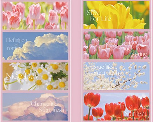 5a3b0581f28d6f0d732cf78a6aba92