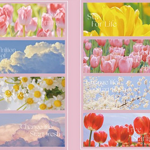 クリアテープ 透明 PET 花 自然景色 雲 マスキングテープ マスキング