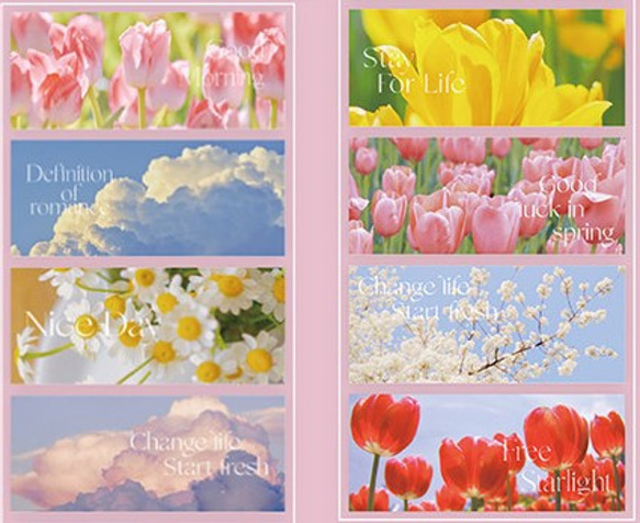 クリアテープ 透明 PET 花 自然景色 雲 マスキングテープ マスキング