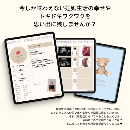 デジタル マタニティダイアリー 妊娠 生活 日記 マタニティ 手帳