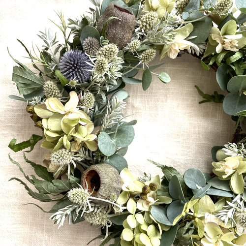 グリーンと実物のドライフラワーリース リース Florist lugna グリーンと実物のドライフラワーリース リース Florist lugna