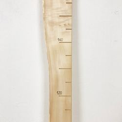 【木の身長計　耳付き材】とち／N-SIN-TC-36　お子さまの成長を見守る 5枚目の画像