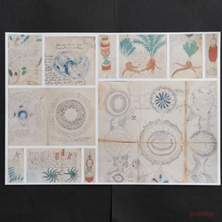 紙製ブックカバー　ヴォイニッチ手稿5（カラー）　A3判（5枚セット） 3枚目の画像