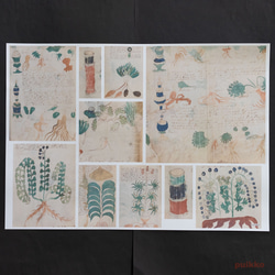 紙製ブックカバー　ヴォイニッチ手稿5（カラー）　A3判（5枚セット） 4枚目の画像