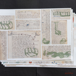 紙製ブックカバー　ヴォイニッチ手稿5（カラー）　A3判（5枚セット） 1枚目の画像