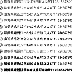 シャイニー住所印登録番号付き 3枚目の画像