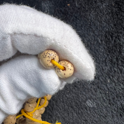 ルドラクシャ(菩提樹の実)星月菩提JST887/42g ネックレス・ペンダント