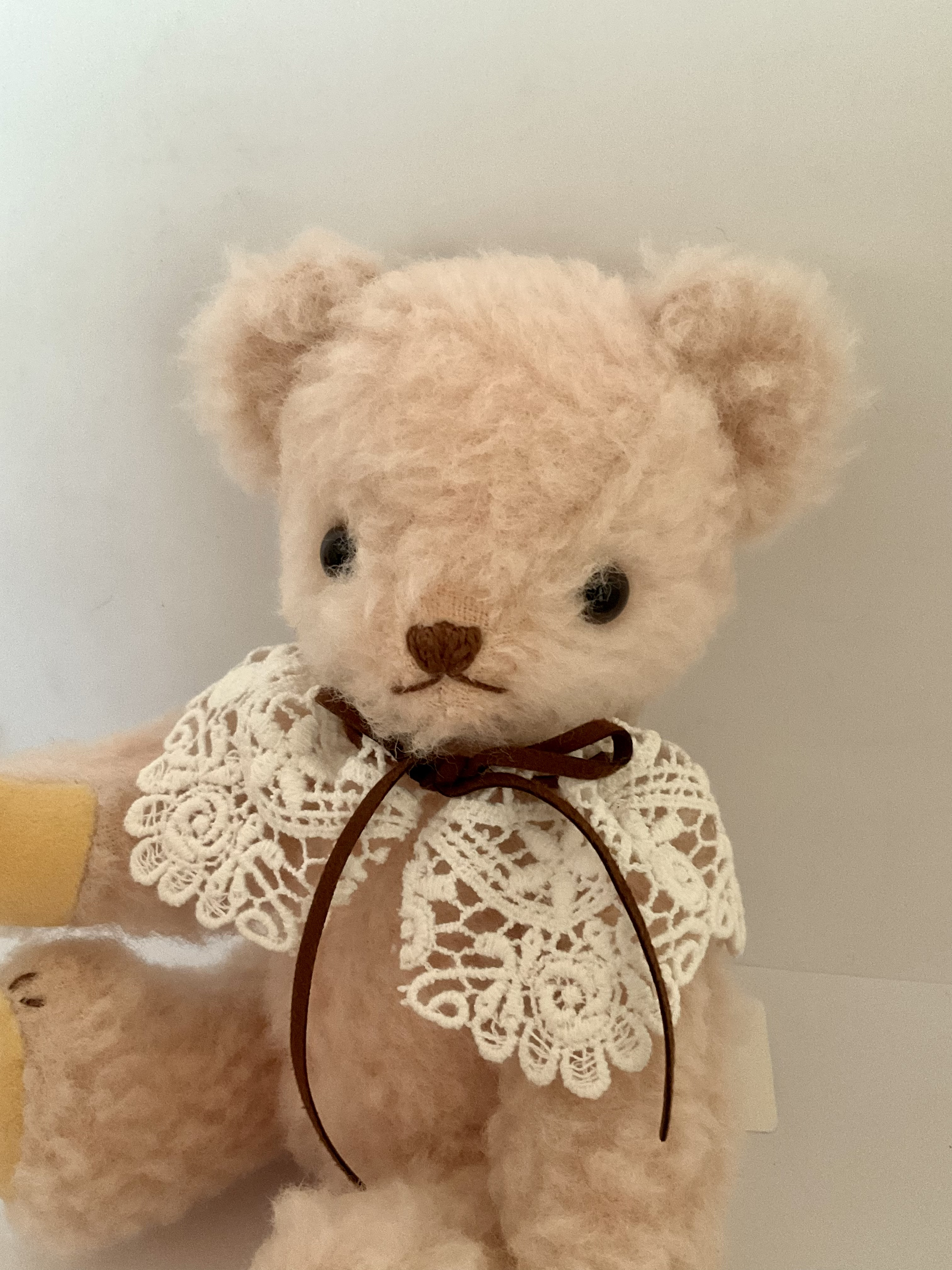 ＊テディベア　ふわふわのくまちゃん