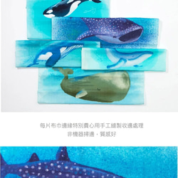 大巾魚。豆腐鯊。大小手帕 第6張的照片