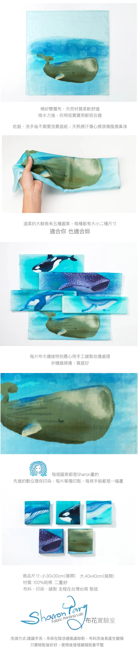 大巾魚。抹香鯨。大小手帕 第5張的照片