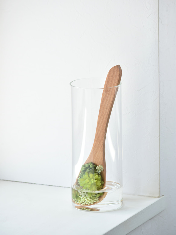 多肉スプーンのマジカルウォーター(ロングガラス)　枯れない癒しのグリーンインテリア　多肉植物 5枚目の画像
