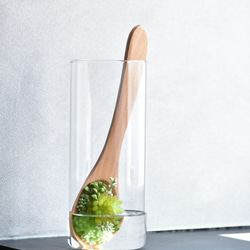 多肉スプーンのマジカルウォーター(ロングガラス)　枯れない癒しのグリーンインテリア　多肉植物 8枚目の画像