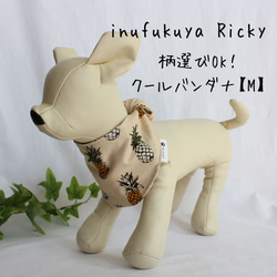 新柄とんぼ 浴衣タンクトップ【受注】犬服オーダー（SSS～LLL） 小型犬