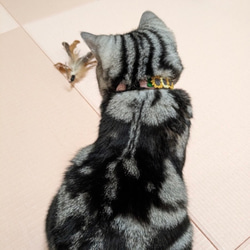 ひまわり畑　猫さんにやさしい首輪【かぎ針編み　猫の首輪　猫　首輪　セーフティバックル　アジャスター　軽い　やわらかい】 4枚目の画像