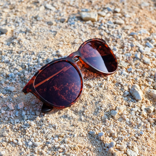 RIDEZ Protection Eyewear SHIFT RS904 偏光サングラス