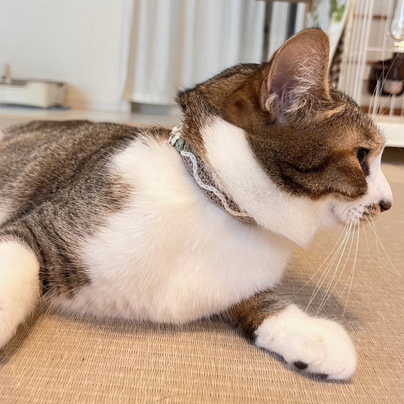 アナベル　猫さんにやさしい首輪【かぎ針編み　猫の首輪　猫　首輪　セーフティバックル　アジャスター　軽い　やわらかい】 4枚目の画像
