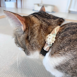 アナベル　猫さんにやさしい首輪【かぎ針編み　猫の首輪　猫　首輪　セーフティバックル　アジャスター　軽い　やわらかい】 5枚目の画像