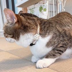 アナベル　猫さんにやさしい首輪【かぎ針編み　猫の首輪　猫　首輪　セーフティバックル　アジャスター　軽い　やわらかい】 6枚目の画像