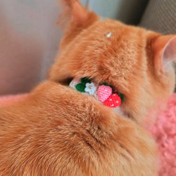いちご　猫さんにやさしい首輪【かぎ針編み　猫の首輪　猫　首輪　セーフティバックル　アジャスター　軽い　やわらかい】 9枚目の画像