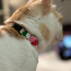 いちご　猫さんにやさしい首輪【かぎ針編み　猫の首輪　猫　首輪　セーフティバックル　アジャスター　軽い　やわらかい】 8枚目の画像