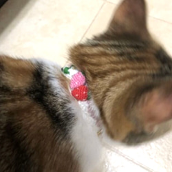 いちご　猫さんにやさしい首輪【かぎ針編み　猫の首輪　猫　首輪　セーフティバックル　アジャスター　軽い　やわらかい】 7枚目の画像