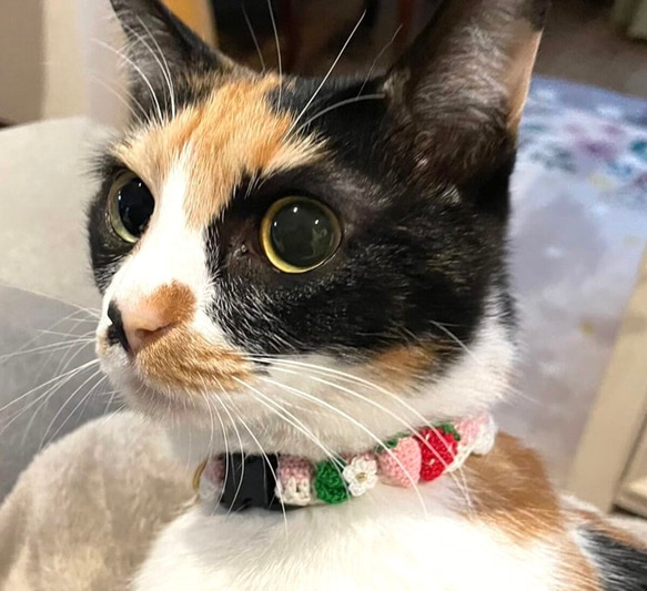 いちご　猫さんにやさしい首輪【かぎ針編み　猫の首輪　猫　首輪　セーフティバックル　アジャスター　軽い　やわらかい】 11枚目の画像