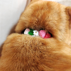 いちご　猫さんにやさしい首輪【かぎ針編み　猫の首輪　猫　首輪　セーフティバックル　アジャスター　軽い　やわらかい】 10枚目の画像