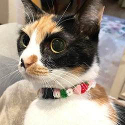 いちご　新色　猫さんにやさしい首輪【かぎ針編み　猫の首輪　猫　首輪　セーフティバックル　アジャスター　軽い　やわらかい】 9枚目の画像