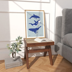 海の生き物のポスター　/ i1399 / 夏の海　熱帯魚や貝殻、クジラやペンギンなど　インテリアポスター 2枚目の画像