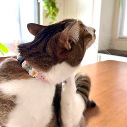 マーガレット　猫さんにやさしい首輪【かぎ針編み　猫の首輪　猫　首輪　セーフティバックル　アジャスター　やわらかい】 4枚目の画像