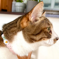 マーガレット　猫さんにやさしい首輪【かぎ針編み　猫の首輪　猫　首輪　セーフティバックル　アジャスター　やわらかい】 6枚目の画像