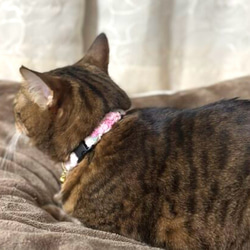 さくら　新色　猫さんにやさしい首輪【かぎ針編み　猫の首輪　猫　首輪　セーフティバックル　アジャスター　軽い　やわらかい】 2枚目の画像