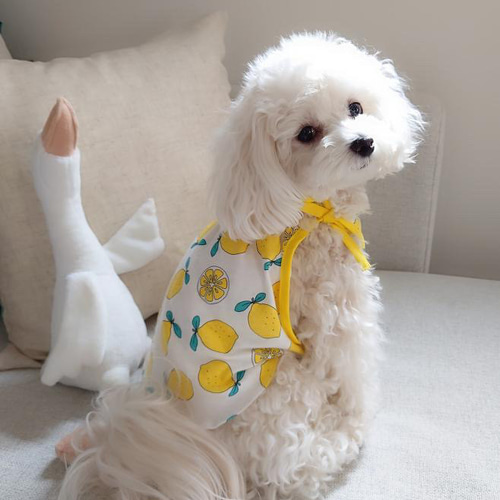 犬服ハンドメイド♡刺繍フリース*デニムリボン刺繍