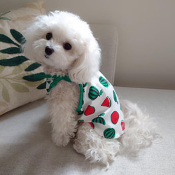 犬服 ハンドメイド リップル生地 スイカ柄 浴衣 xxsサイズ 犬服 ハンドメイド リップル生地 スイカ柄 浴衣 xxsサイズ 犬服