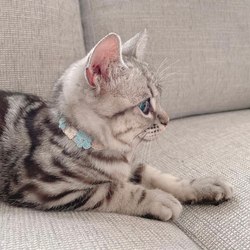 お花 ナチュラル 猫さんにやさしい首輪【かぎ針編み 猫の首輪 猫