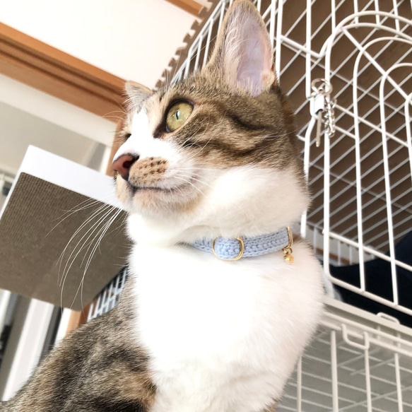 小さなお花　猫さんにやさしい首輪【かぎ針編み　猫の首輪　猫　首輪　セーフティバックル　アジャスター　軽い　やわらかい】 6枚目の画像